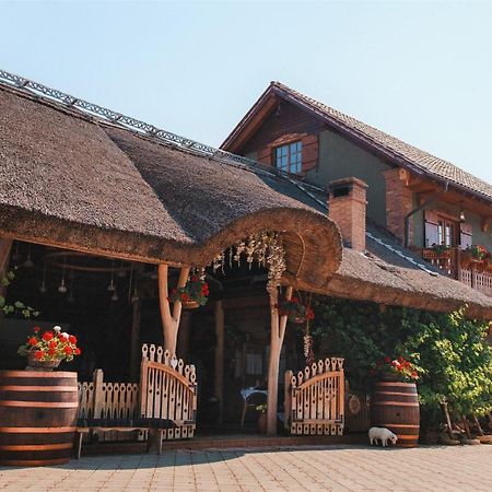 Gagauz Sofrasi Hotel Congaz Luaran gambar