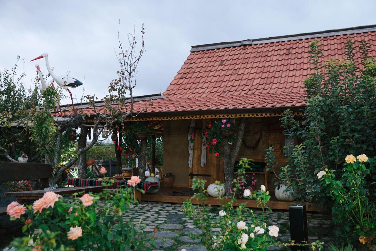 Gagauz Sofrasi Hotel Congaz Luaran gambar